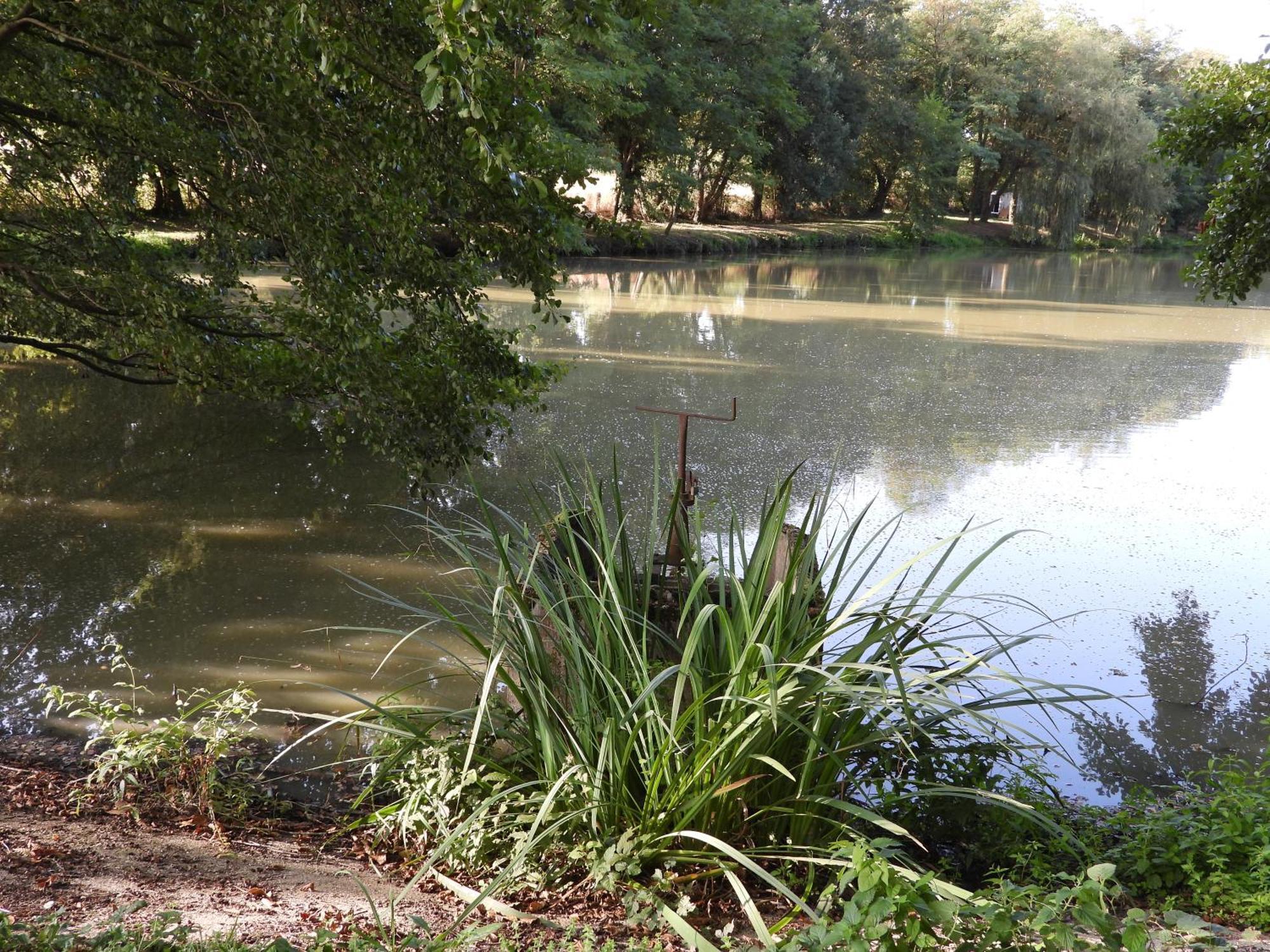 Le Hameau De La Closerie Flere-la-Riviere Esterno foto